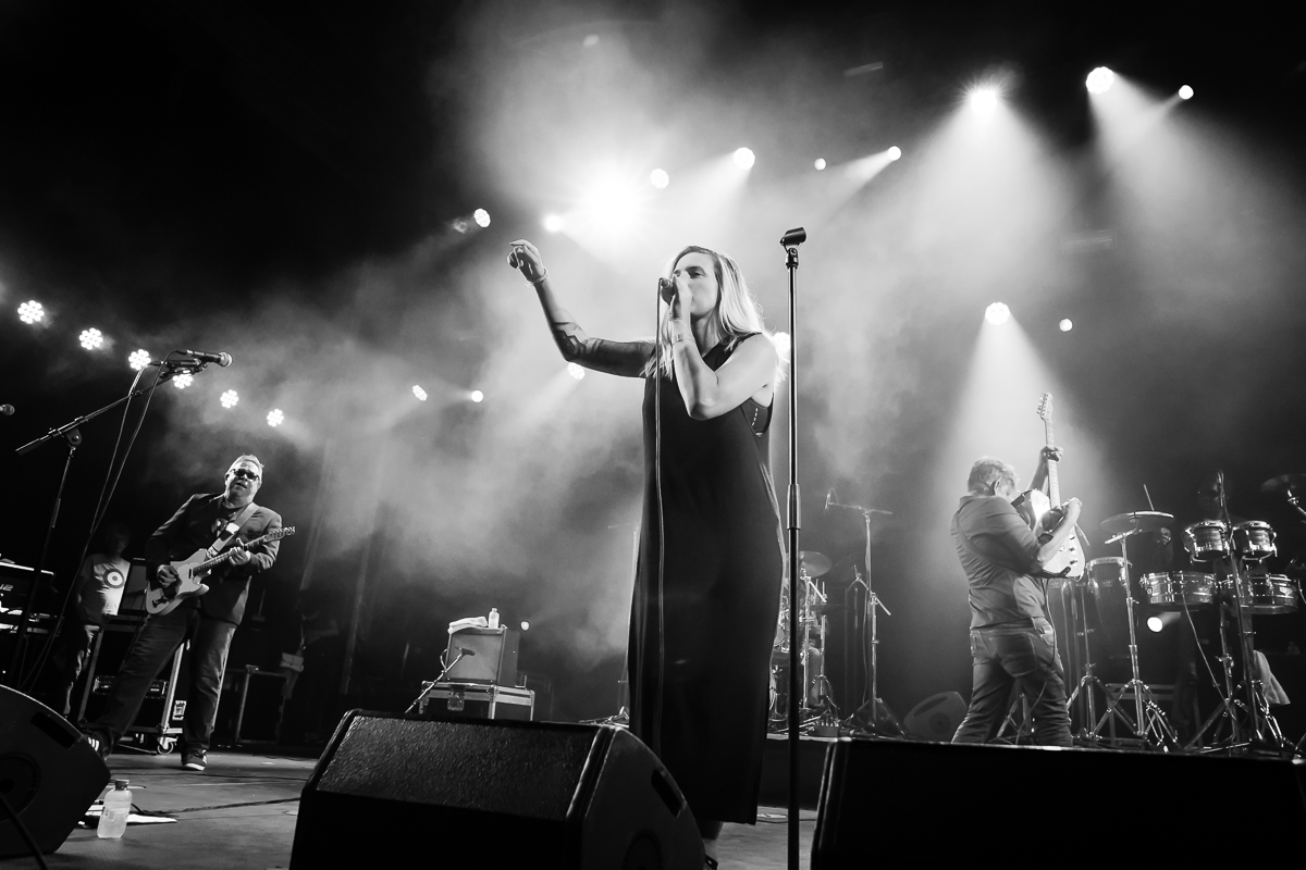 Allez Allez @ Fonnefeesten, foto 5, foto's door Danny Wagemans - FrontView Magazine