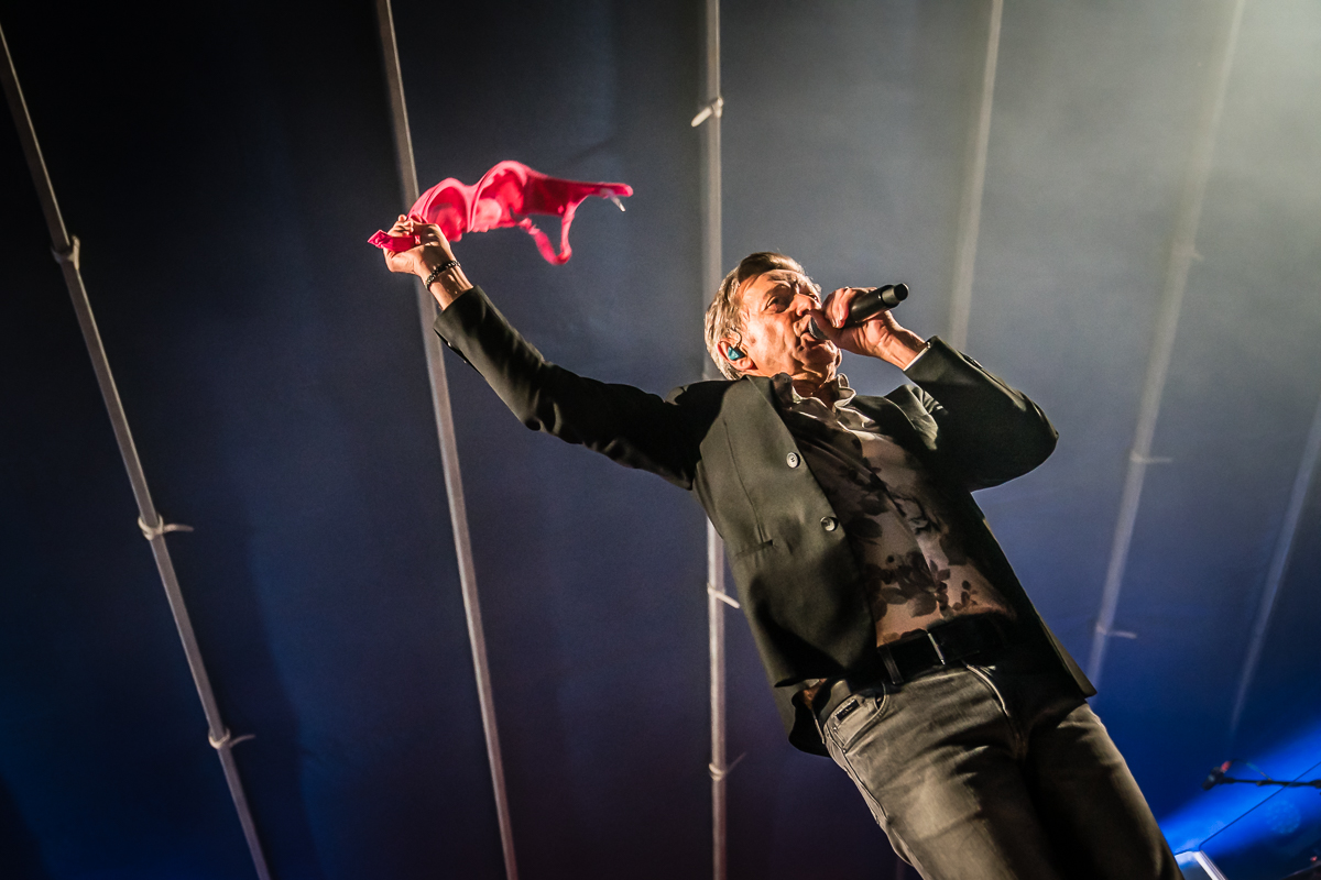 Willy Sommers @ Engie Parkies Sint-Niklaas, picture 35, photographed by Danny Wagemans - FrontView Magazine