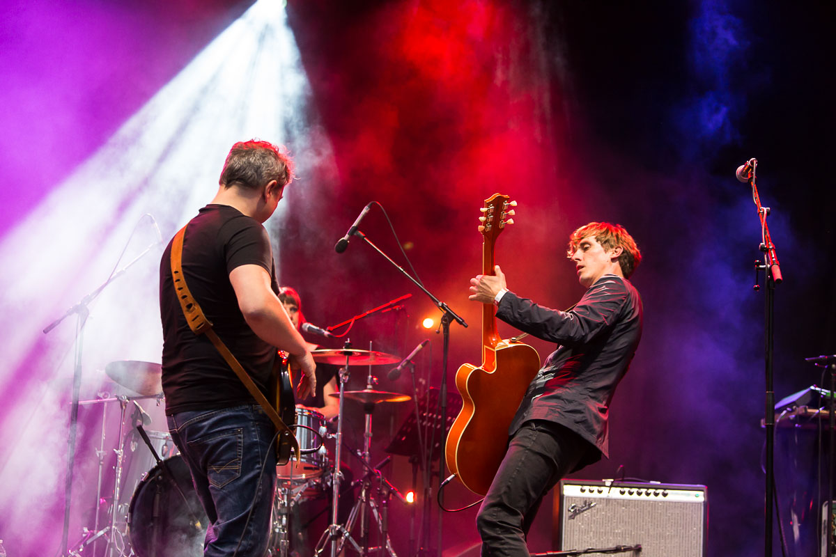 Absynthe Minded @ Bollekesfeest 2019, foto 17, foto's door Marc Verdonck - FrontView Magazine
