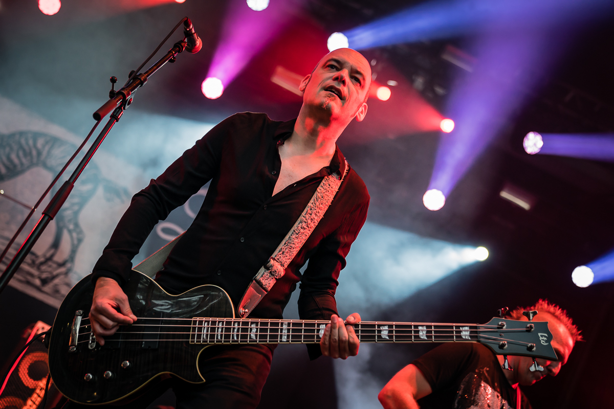 Red Zebra @ Fonnefeesten, foto 4, foto's door Danny Wagemans - FrontView Magazine