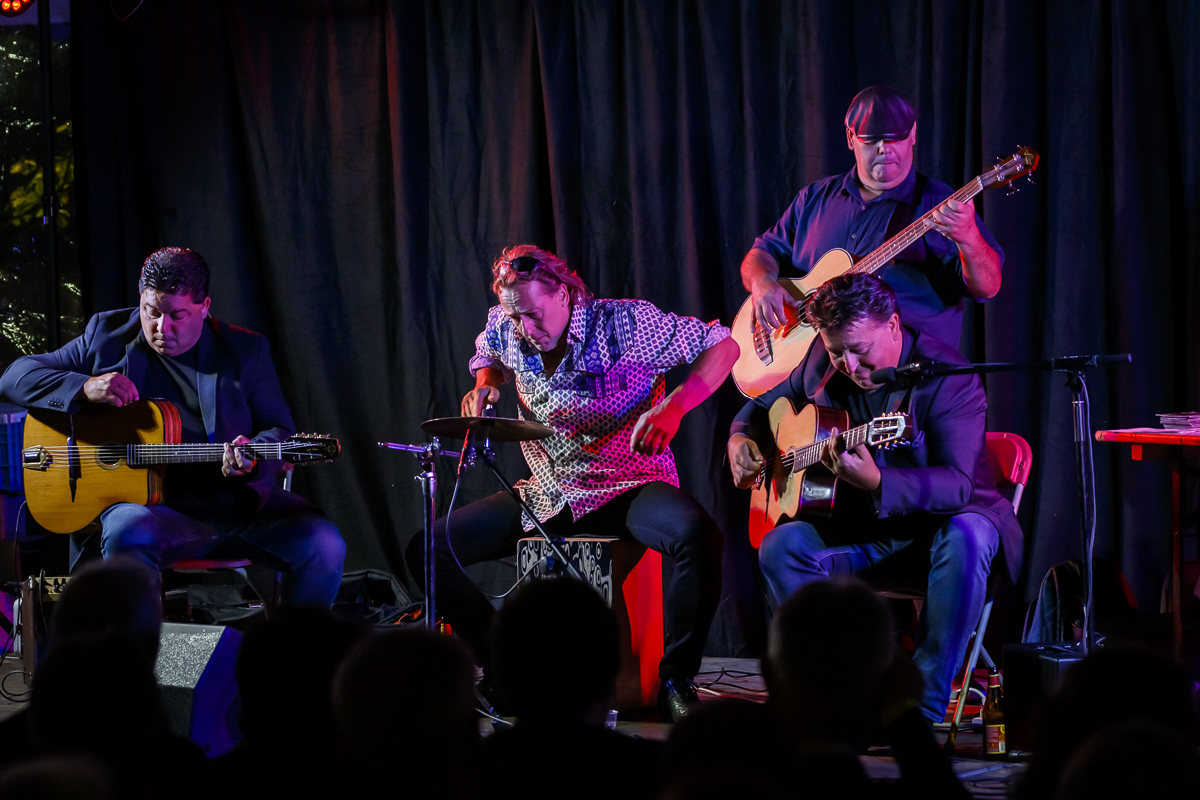 The Basily Gipsy Band @ Jazzathome, picture 3, photographed by Alex Wyckmans - FrontView Magazine