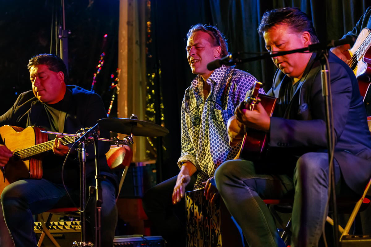 The Basily Gipsy Band @ Jazzathome, picture 6, photographed by Alex Wyckmans - FrontView Magazine
