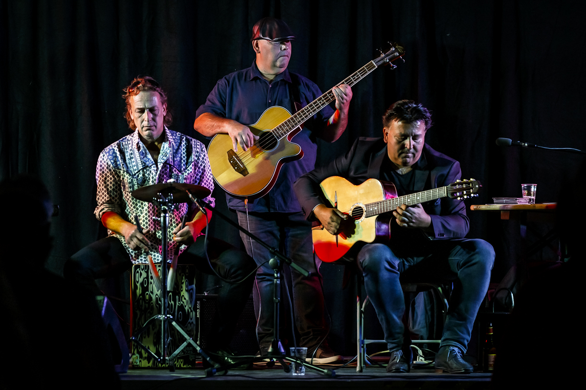 The Basily Gipsy Band @ Jazzathome, picture 10, photographed by Alex Wyckmans - FrontView Magazine