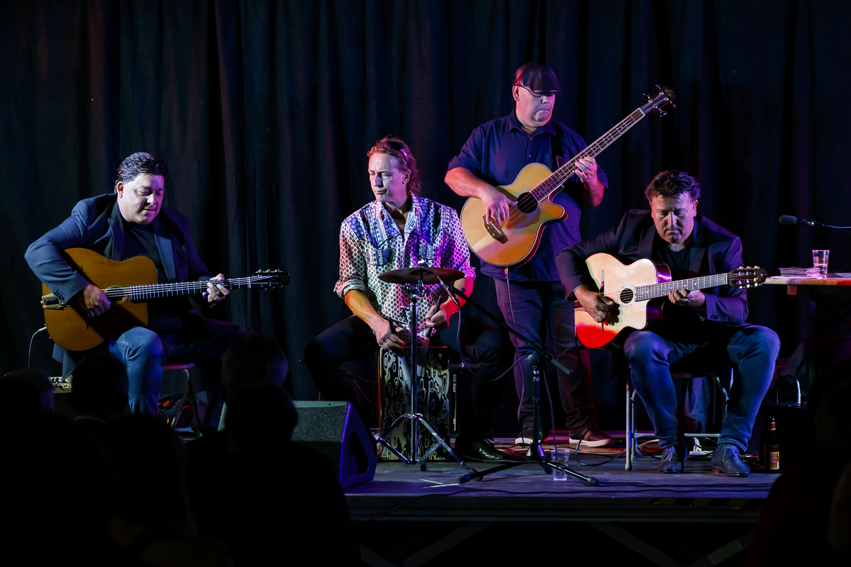The Basily Gipsy Band @ Jazzathome, picture 11, photographed by Alex Wyckmans - FrontView Magazine