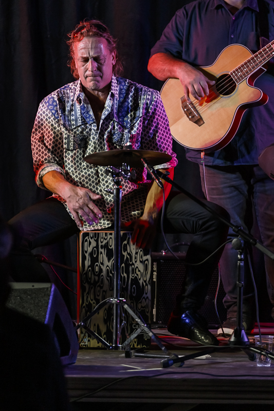 The Basily Gipsy Band @ Jazzathome, picture 12, photographed by Alex Wyckmans - FrontView Magazine