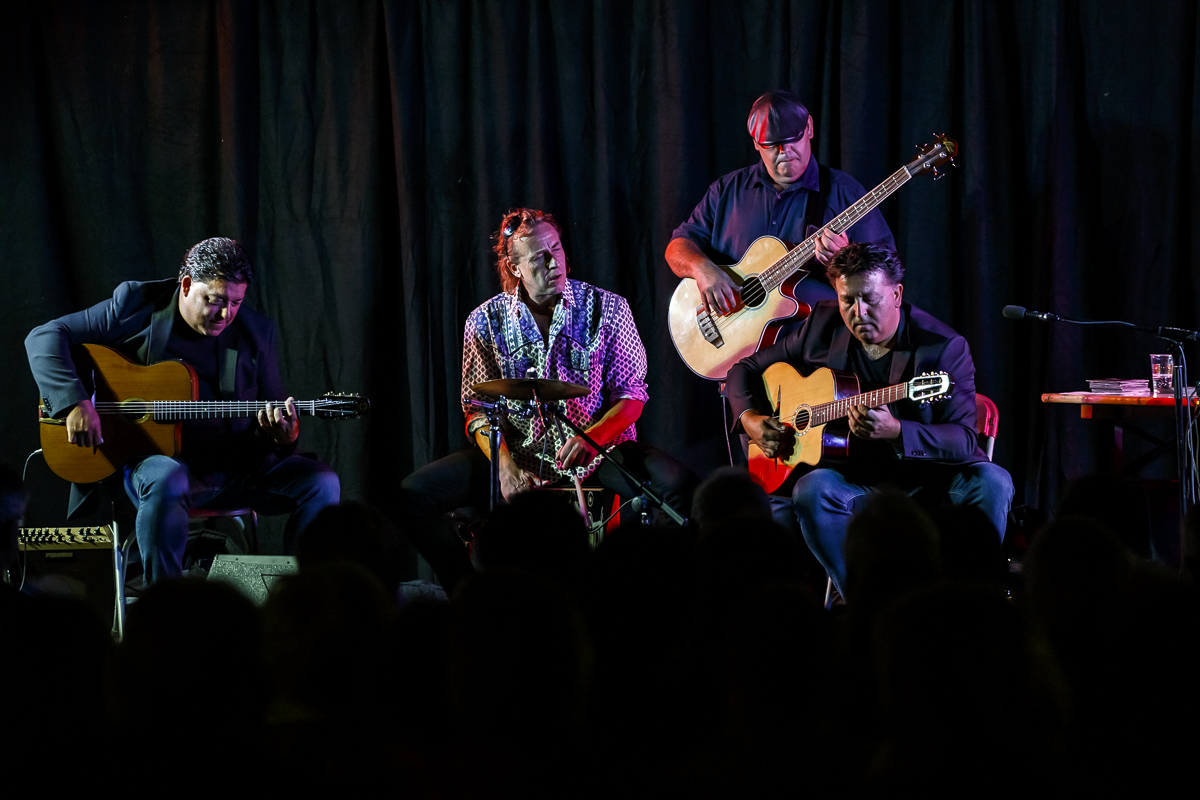The Basily Gipsy Band @ Jazzathome, picture 14, photographed by Alex Wyckmans - FrontView Magazine