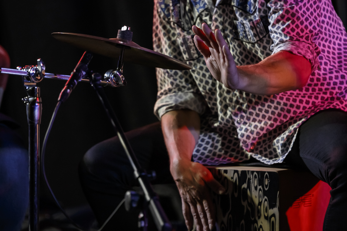 The Basily Gipsy Band @ Jazzathome, picture 15, photographed by Alex Wyckmans - FrontView Magazine
