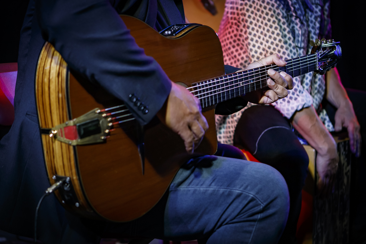 The Basily Gipsy Band @ Jazzathome, picture 23, photographed by Alex Wyckmans - FrontView Magazine