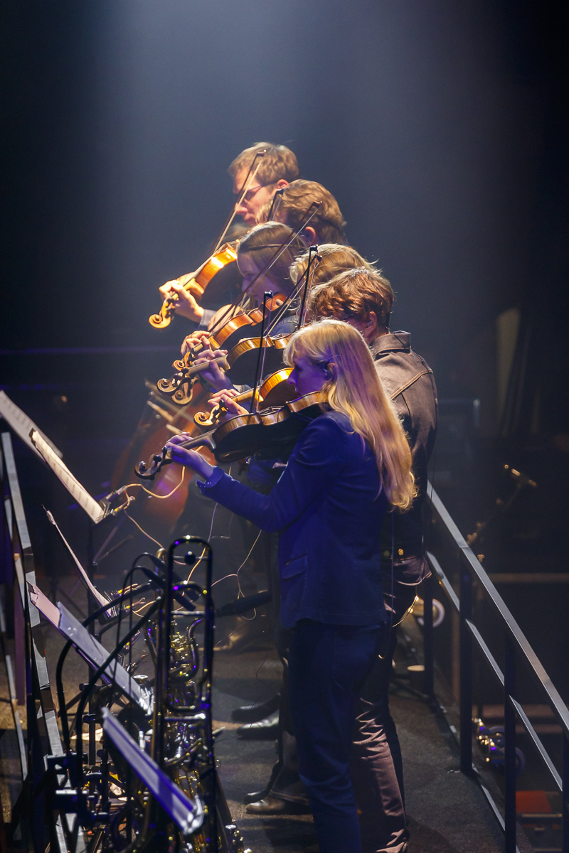 The Analogues - Abbey Road 50 Year Anniversary @ Lotto Arena, picture 24, photographed by Alex Wyckmans - FrontView Magazine