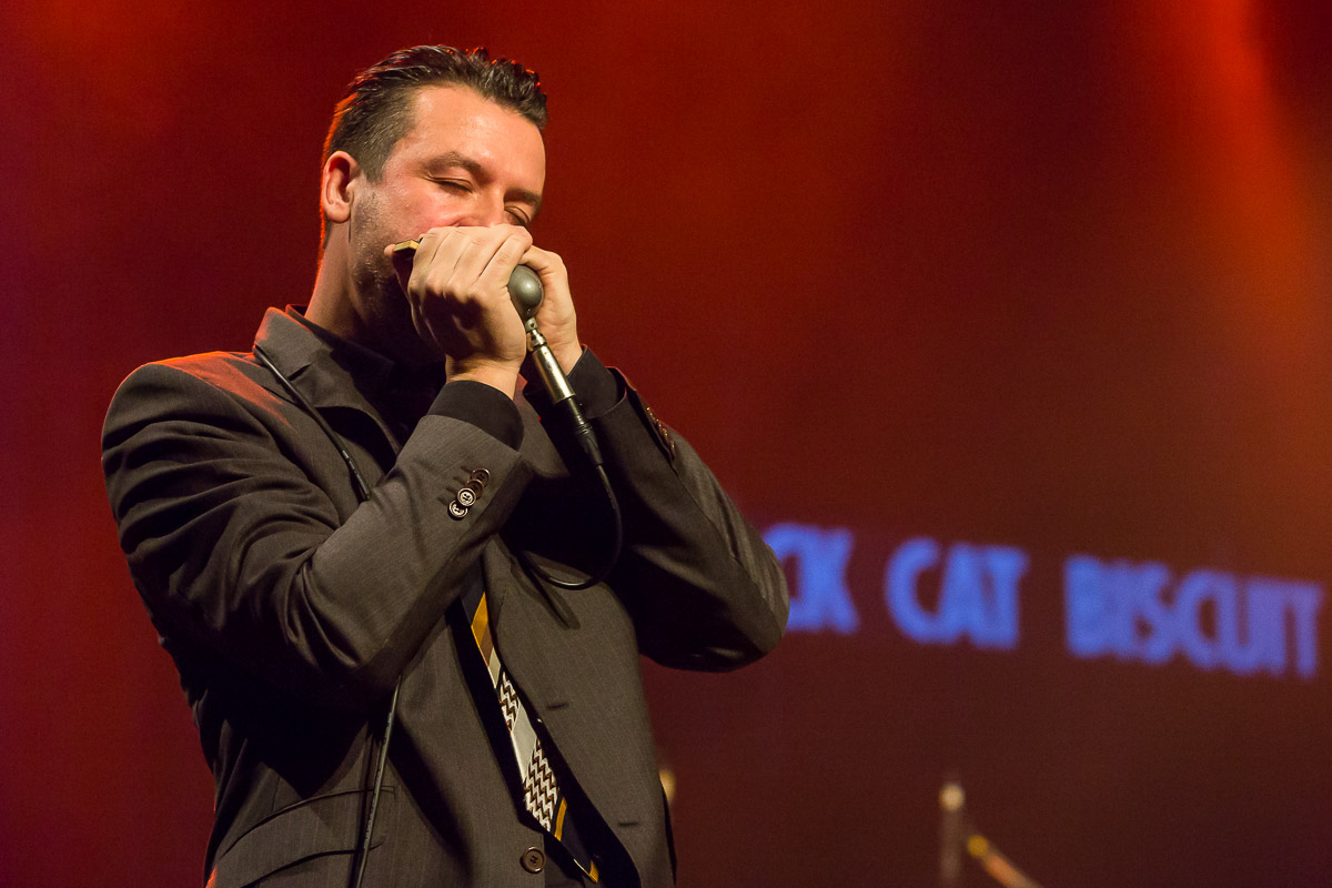 Black Cat Biscuit @ Blues in Schoten 2019, picture 3, photographed by Marc Verdonck - FrontView Magazine