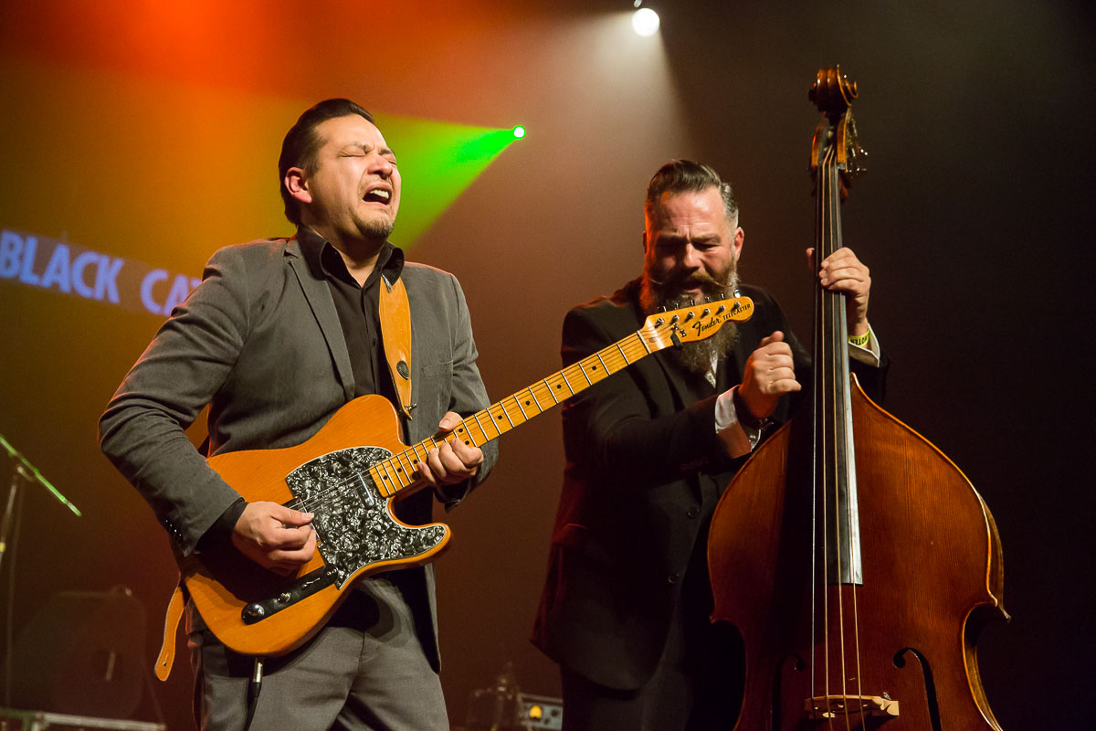 Black Cat Biscuit @ Blues in Schoten 2019, picture 4, photographed by Marc Verdonck - FrontView Magazine