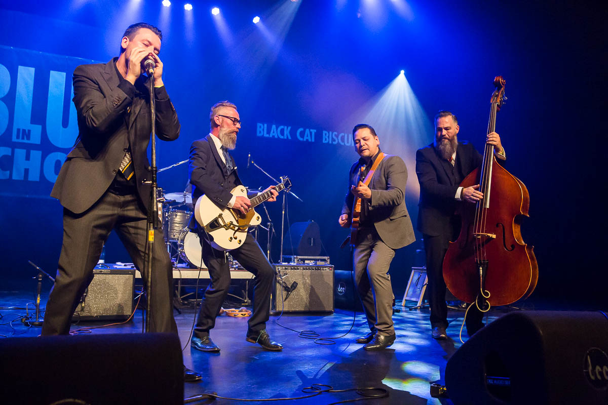 Black Cat Biscuit @ Blues in Schoten 2019, picture 5, photographed by Marc Verdonck - FrontView Magazine