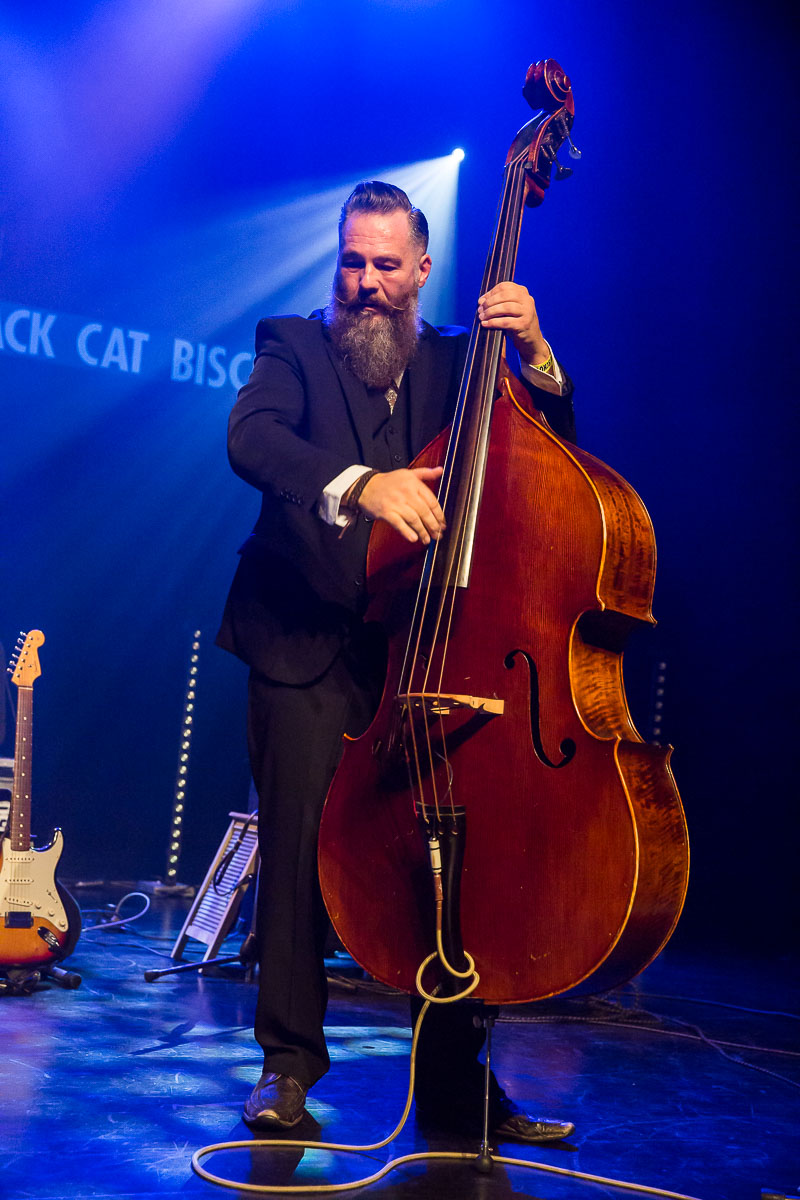 Black Cat Biscuit @ Blues in Schoten 2019, picture 6, photographed by Marc Verdonck - FrontView Magazine