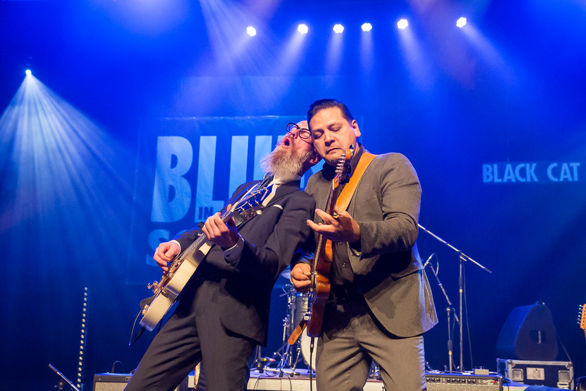 Black Cat Biscuit @ Blues in Schoten 2019, picture 8, photographed by Marc Verdonck - FrontView Magazine