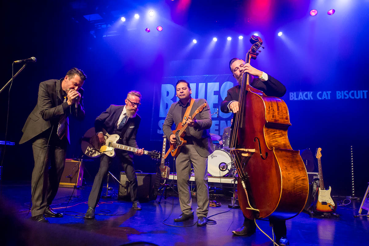 Black Cat Biscuit @ Blues in Schoten 2019, picture 13, photographed by Marc Verdonck - FrontView Magazine