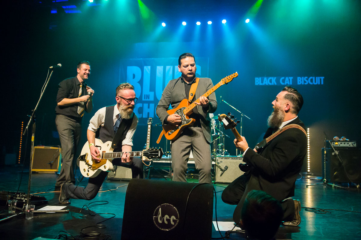 Black Cat Biscuit @ Blues in Schoten 2019, picture 19, photographed by Marc Verdonck - FrontView Magazine