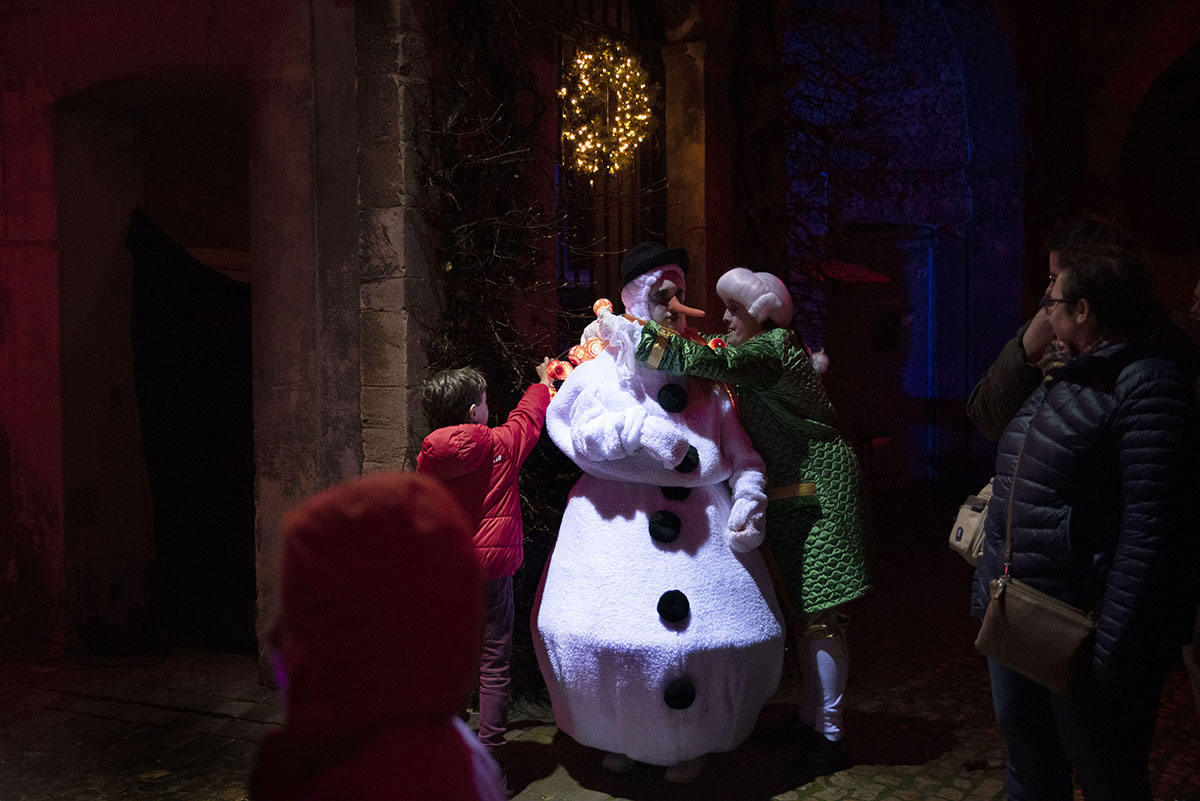 Kerstmagie 2019 @ Kasteel de Merode in Westerlo, picture 6, photographed by Cindy De Kuyper - FrontView Magazine