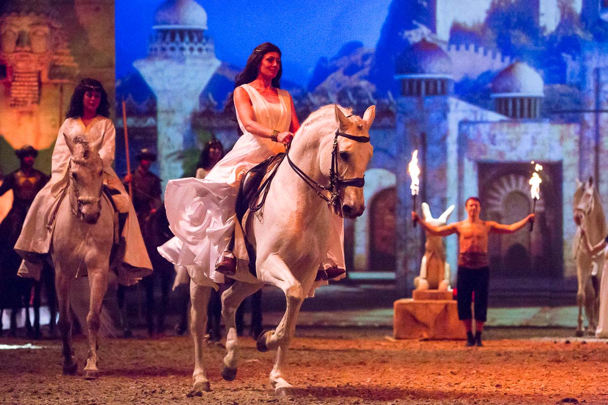 Cavalluna Legend of the desert @ Sportpaleis, picture 4, photographed by Marc Verdonck - FrontView Magazine