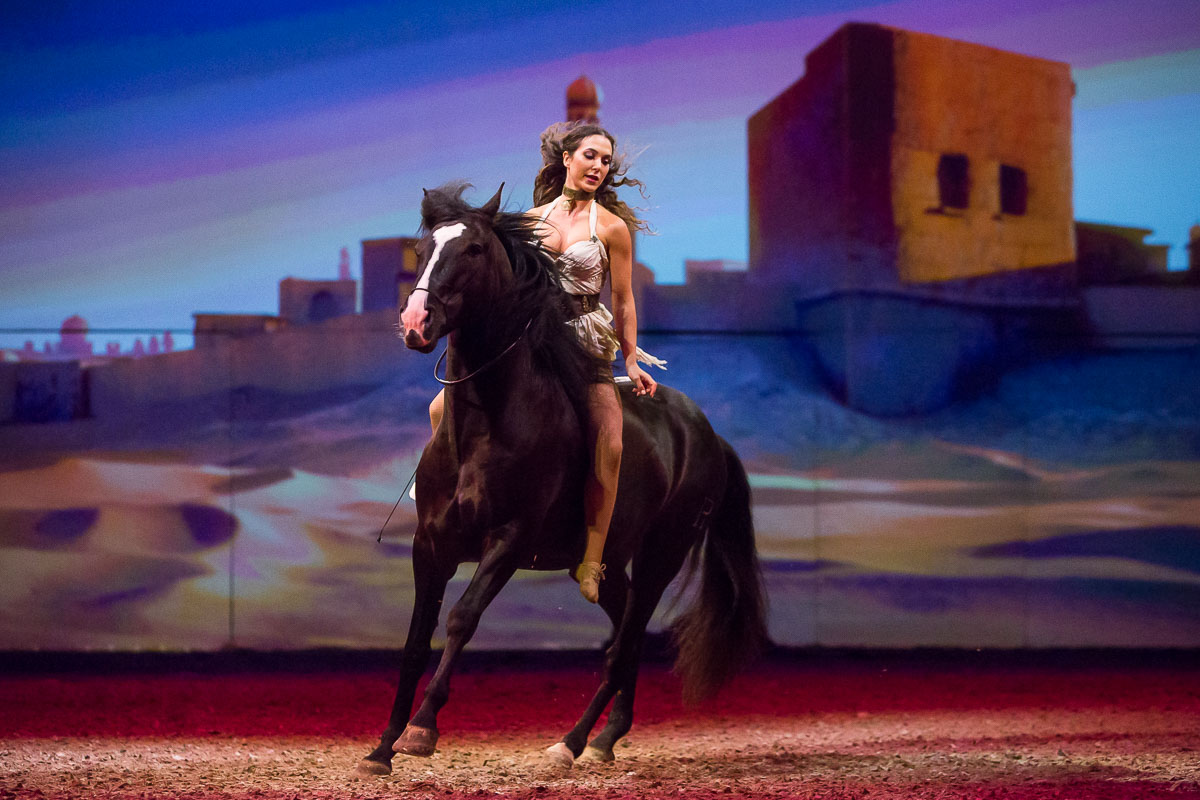 Cavalluna Legend of the desert @ Sportpaleis, picture 9, photographed by Marc Verdonck - FrontView Magazine