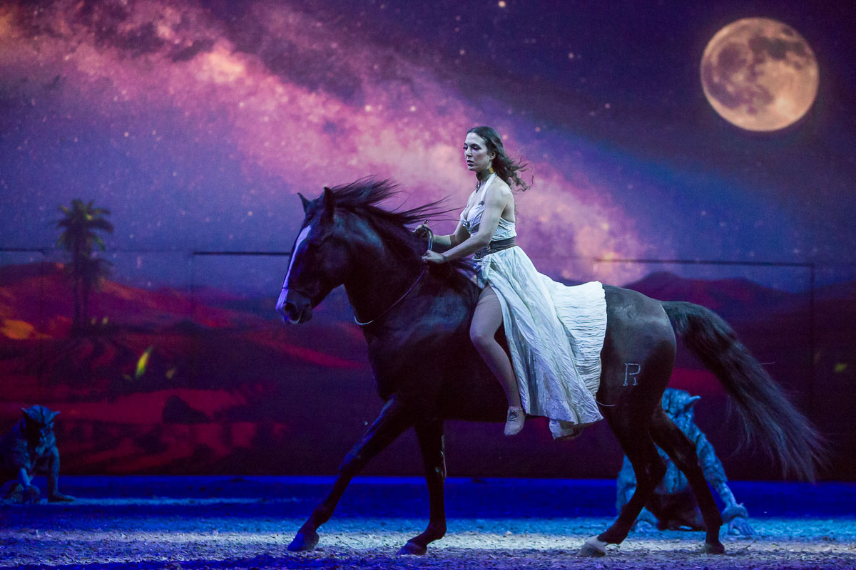 Cavalluna Legend of the desert @ Sportpaleis, picture 10, photographed by Marc Verdonck - FrontView Magazine