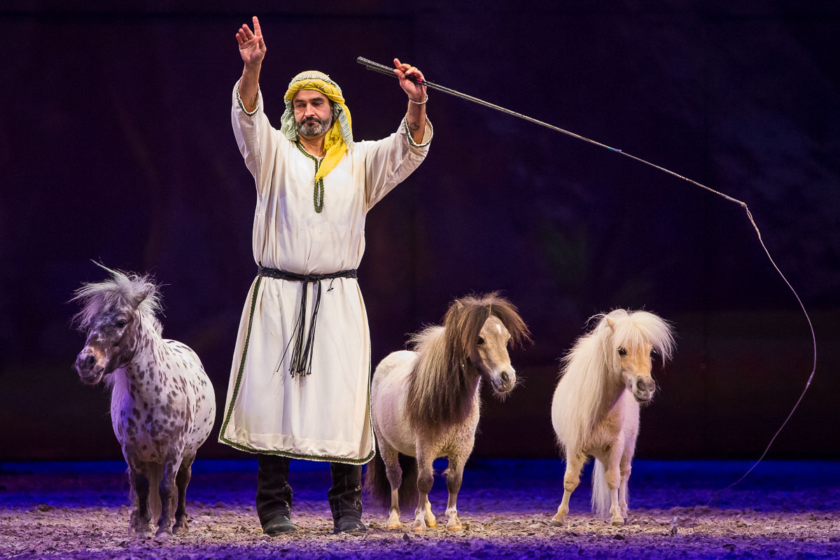 Cavalluna Legend of the desert @ Sportpaleis, picture 11, photographed by Marc Verdonck - FrontView Magazine
