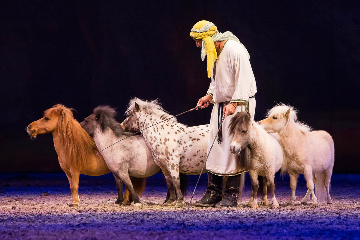 Cavalluna Legend of the desert @ Sportpaleis, picture 13, photographed by Marc Verdonck - FrontView Magazine