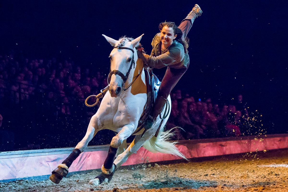 Cavalluna Legend of the desert @ Sportpaleis, picture 21, photographed by Marc Verdonck - FrontView Magazine