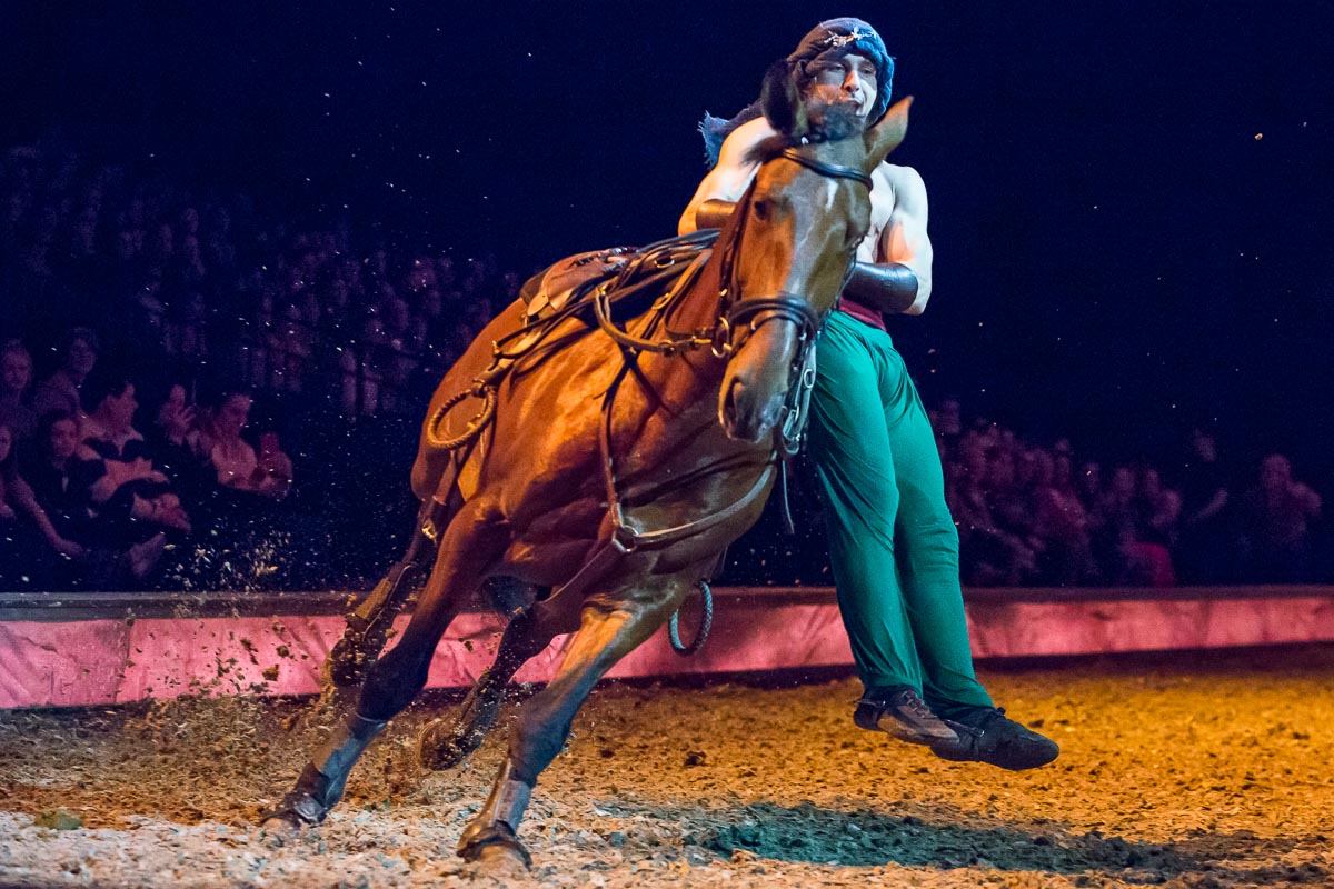 Cavalluna Legend of the desert @ Sportpaleis, picture 22, photographed by Marc Verdonck - FrontView Magazine