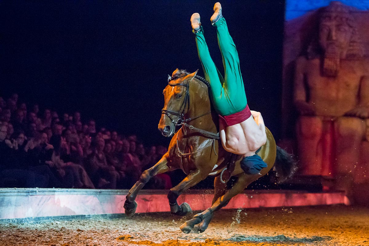 Cavalluna Legend of the desert @ Sportpaleis, picture 23, photographed by Marc Verdonck - FrontView Magazine