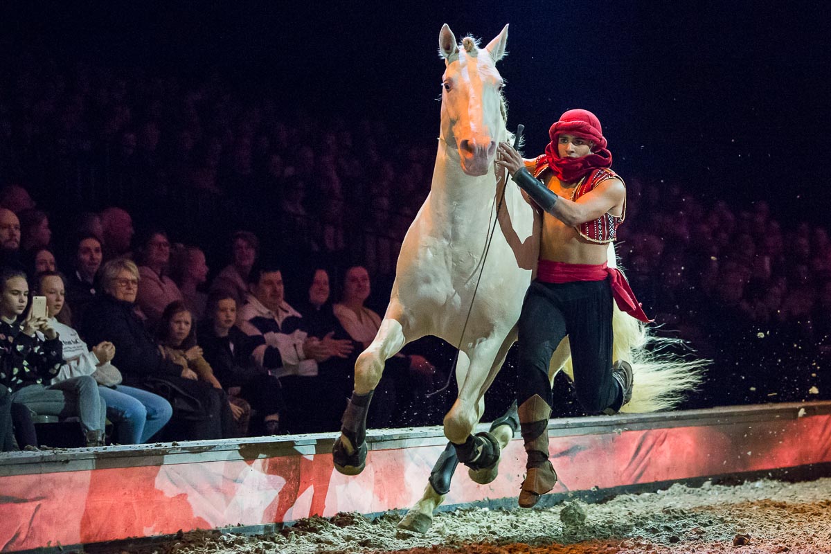 Cavalluna Legend of the desert @ Sportpaleis, picture 24, photographed by Marc Verdonck - FrontView Magazine