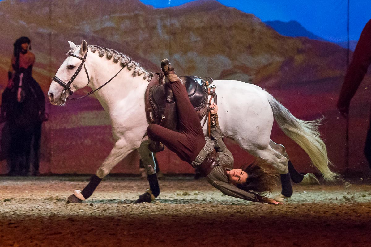 Cavalluna Legend of the desert @ Sportpaleis, picture 26, photographed by Marc Verdonck - FrontView Magazine