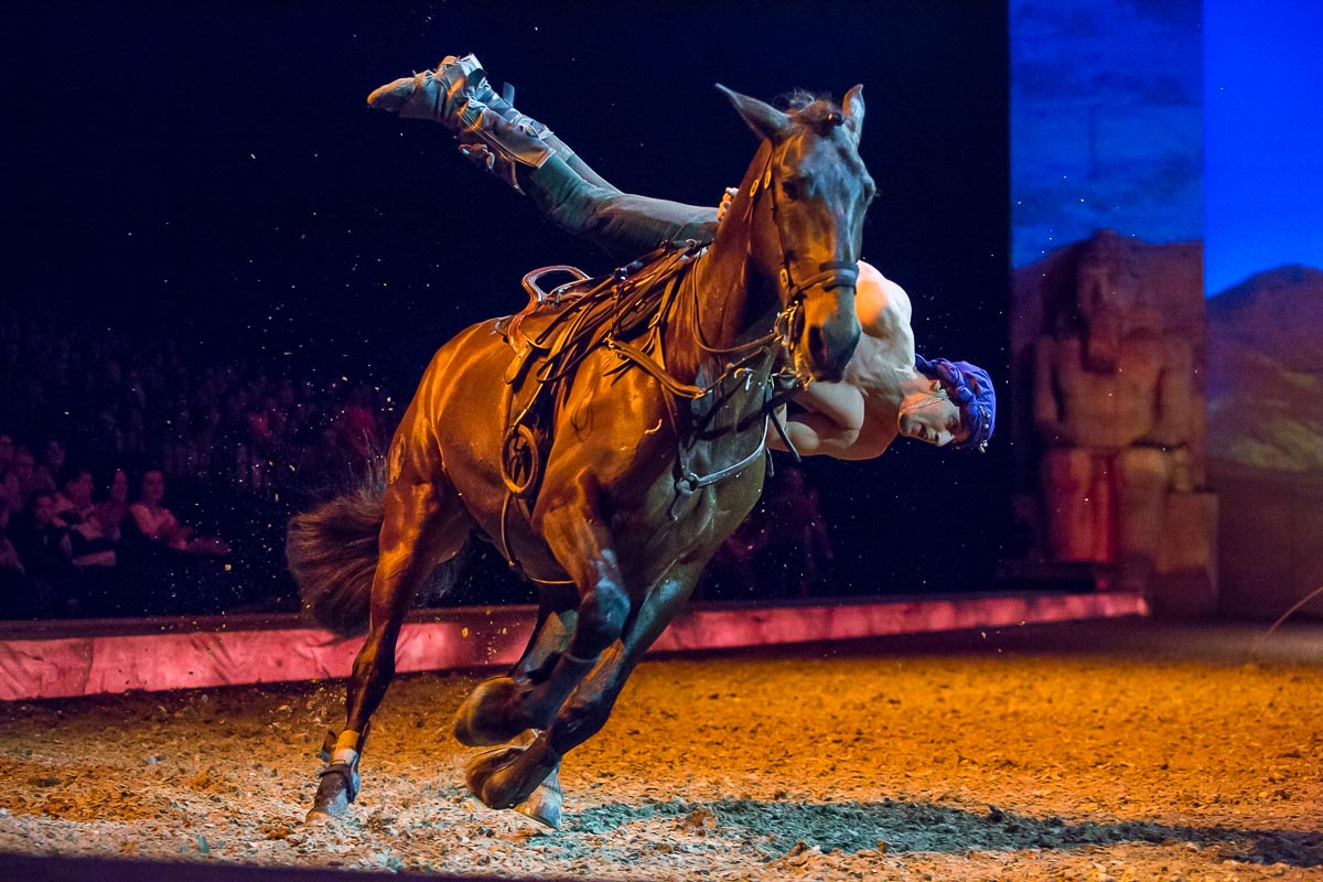 Cavalluna Legend of the desert @ Sportpaleis, picture 27, photographed by Marc Verdonck - FrontView Magazine
