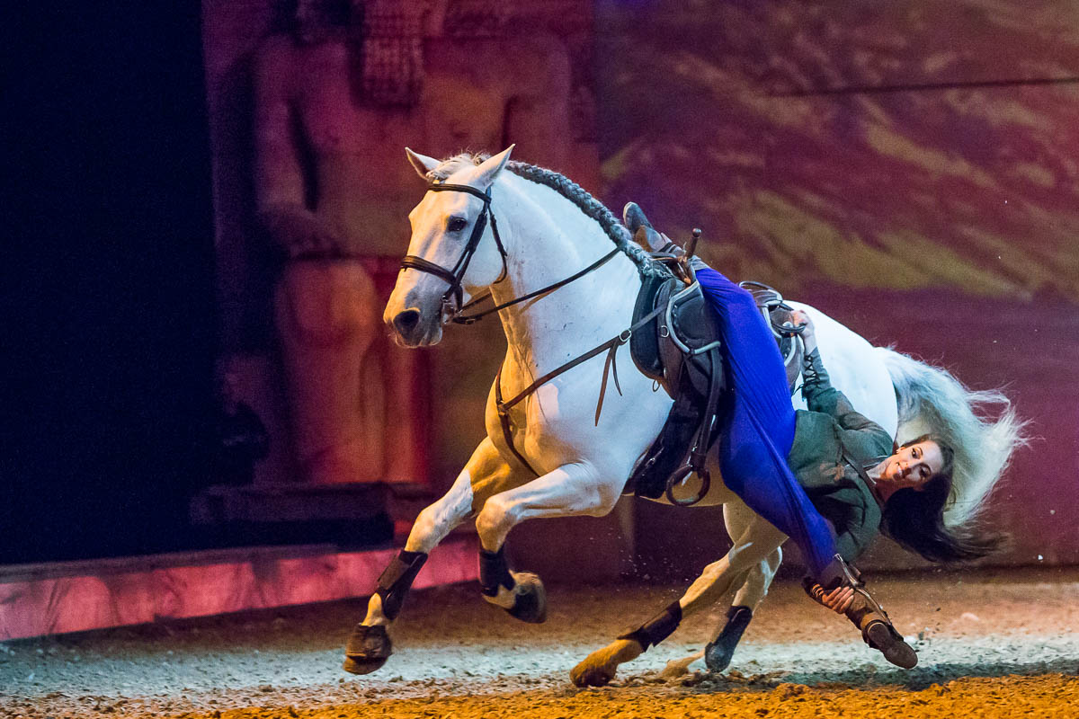 Cavalluna Legend of the desert @ Sportpaleis, picture 29, photographed by Marc Verdonck - FrontView Magazine