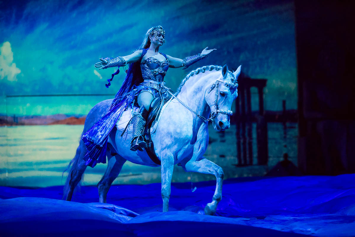 Cavalluna Legend of the desert @ Sportpaleis, picture 40, photographed by Marc Verdonck - FrontView Magazine