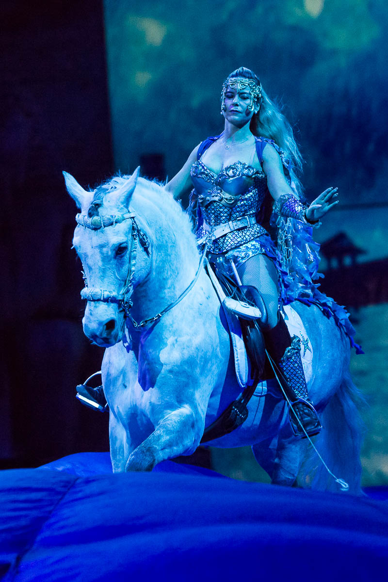 Cavalluna Legend of the desert @ Sportpaleis, picture 41, photographed by Marc Verdonck - FrontView Magazine