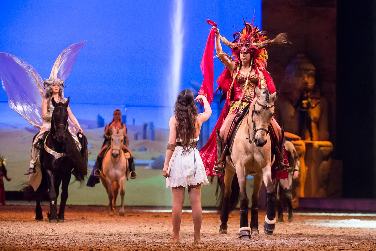 Cavalluna Legend of the desert @ Sportpaleis, picture 48, photographed by Marc Verdonck - FrontView Magazine