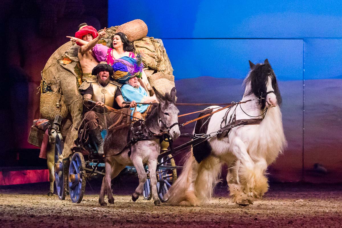 Cavalluna Legend of the desert @ Sportpaleis, picture 49, photographed by Marc Verdonck - FrontView Magazine