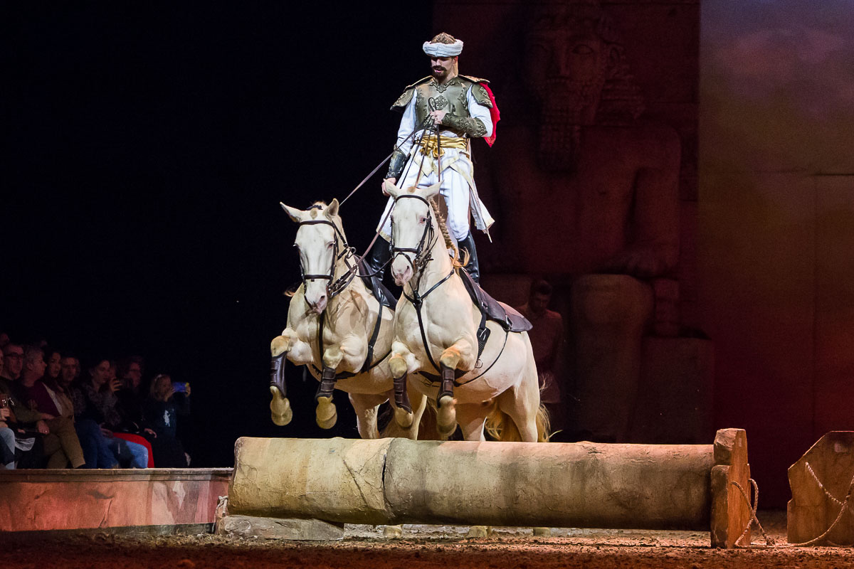 Cavalluna Legend of the desert @ Sportpaleis, picture 51, photographed by Marc Verdonck - FrontView Magazine