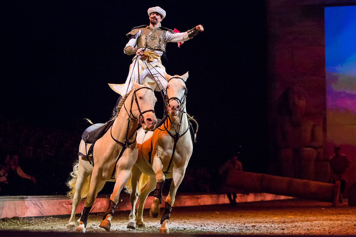 Cavalluna Legend of the desert @ Sportpaleis, picture 52, photographed by Marc Verdonck - FrontView Magazine