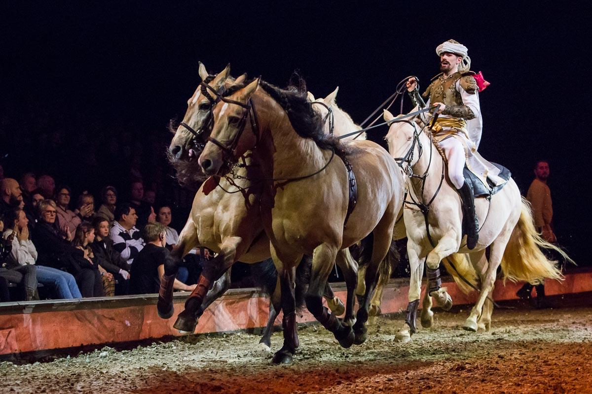 Cavalluna Legend of the desert @ Sportpaleis, picture 56, photographed by Marc Verdonck - FrontView Magazine