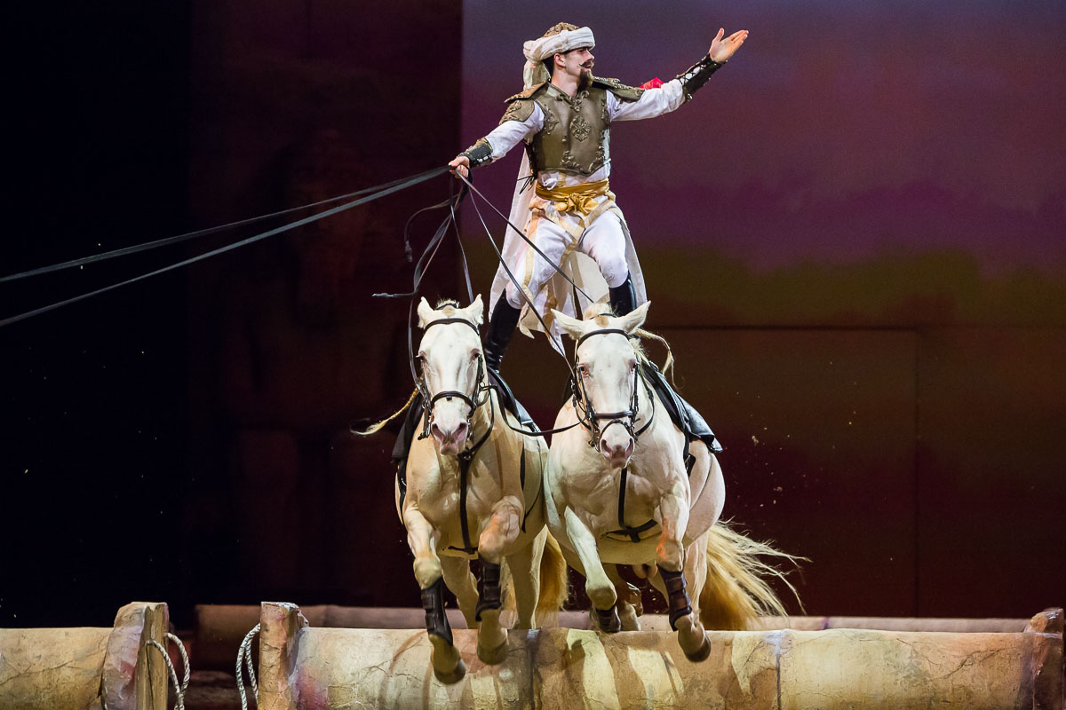 Cavalluna Legend of the desert @ Sportpaleis, picture 57, photographed by Marc Verdonck - FrontView Magazine