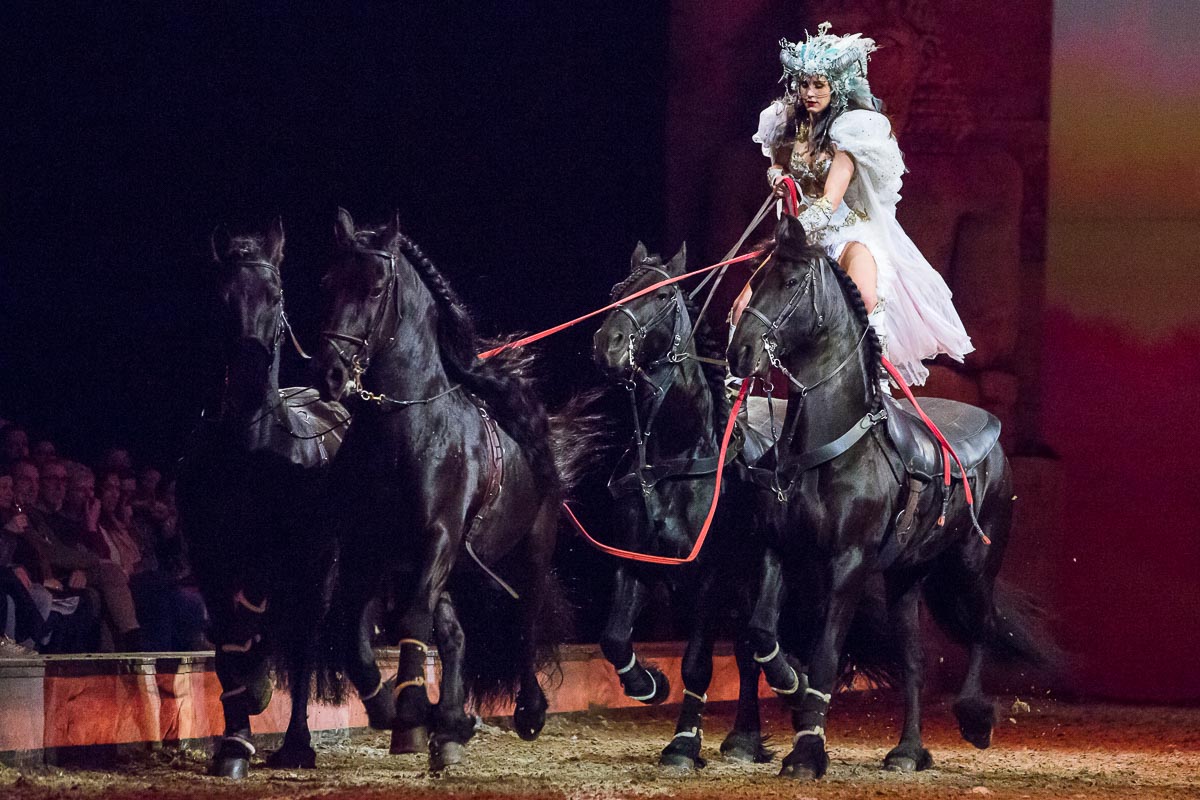 Cavalluna Legend of the desert @ Sportpaleis, picture 58, photographed by Marc Verdonck - FrontView Magazine