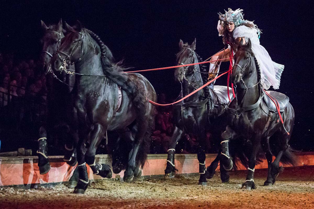 Cavalluna Legend of the desert @ Sportpaleis, picture 59, photographed by Marc Verdonck - FrontView Magazine