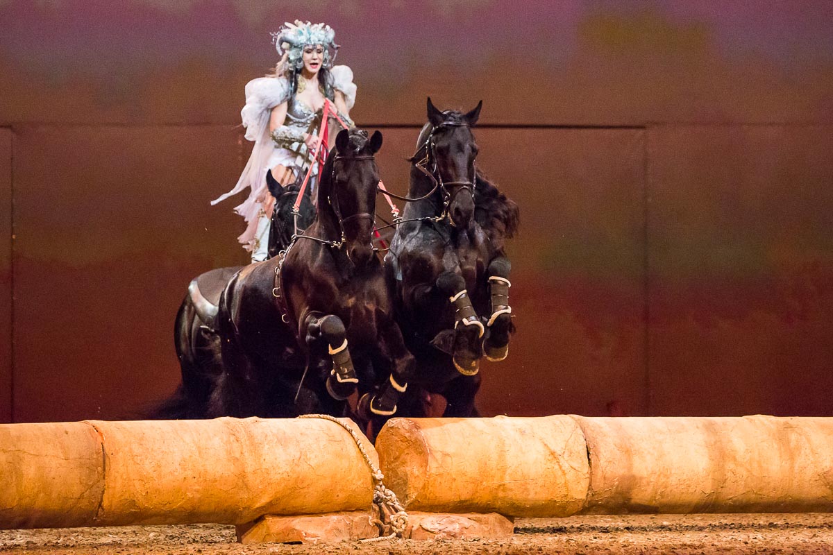 Cavalluna Legend of the desert @ Sportpaleis, picture 60, photographed by Marc Verdonck - FrontView Magazine