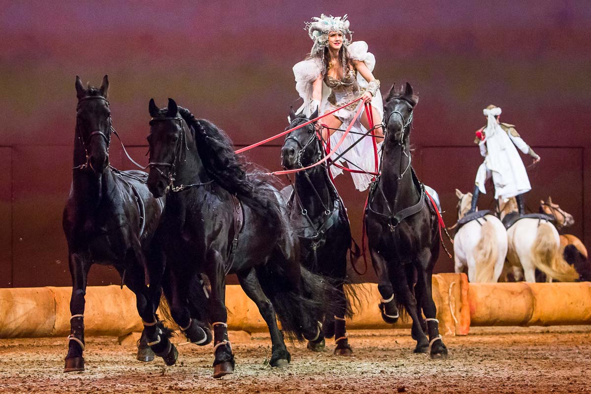 Cavalluna Legend of the desert @ Sportpaleis, picture 61, photographed by Marc Verdonck - FrontView Magazine