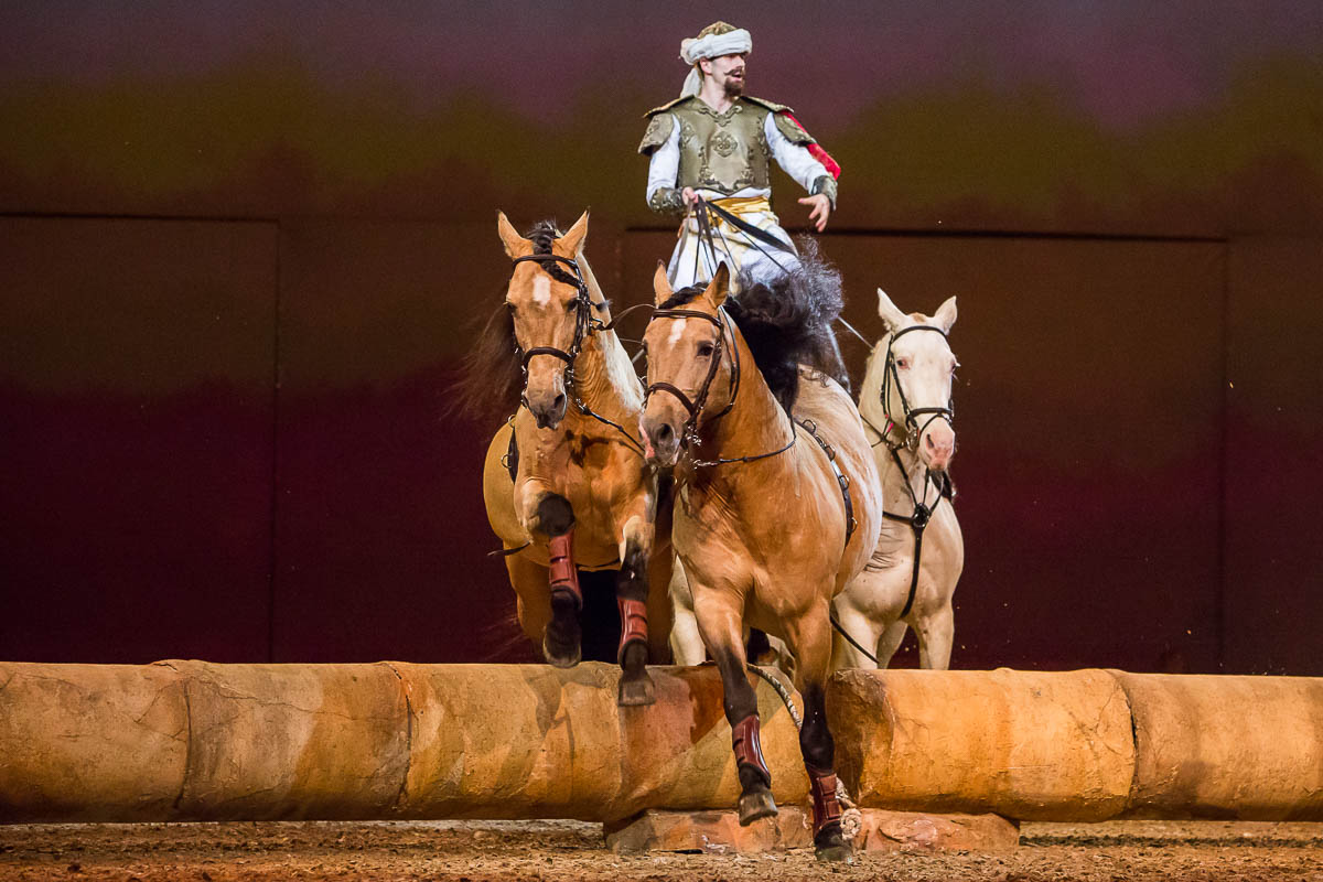 Cavalluna Legend of the desert @ Sportpaleis, picture 62, photographed by Marc Verdonck - FrontView Magazine