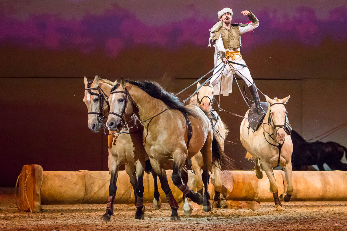Cavalluna Legend of the desert @ Sportpaleis, picture 63, photographed by Marc Verdonck - FrontView Magazine