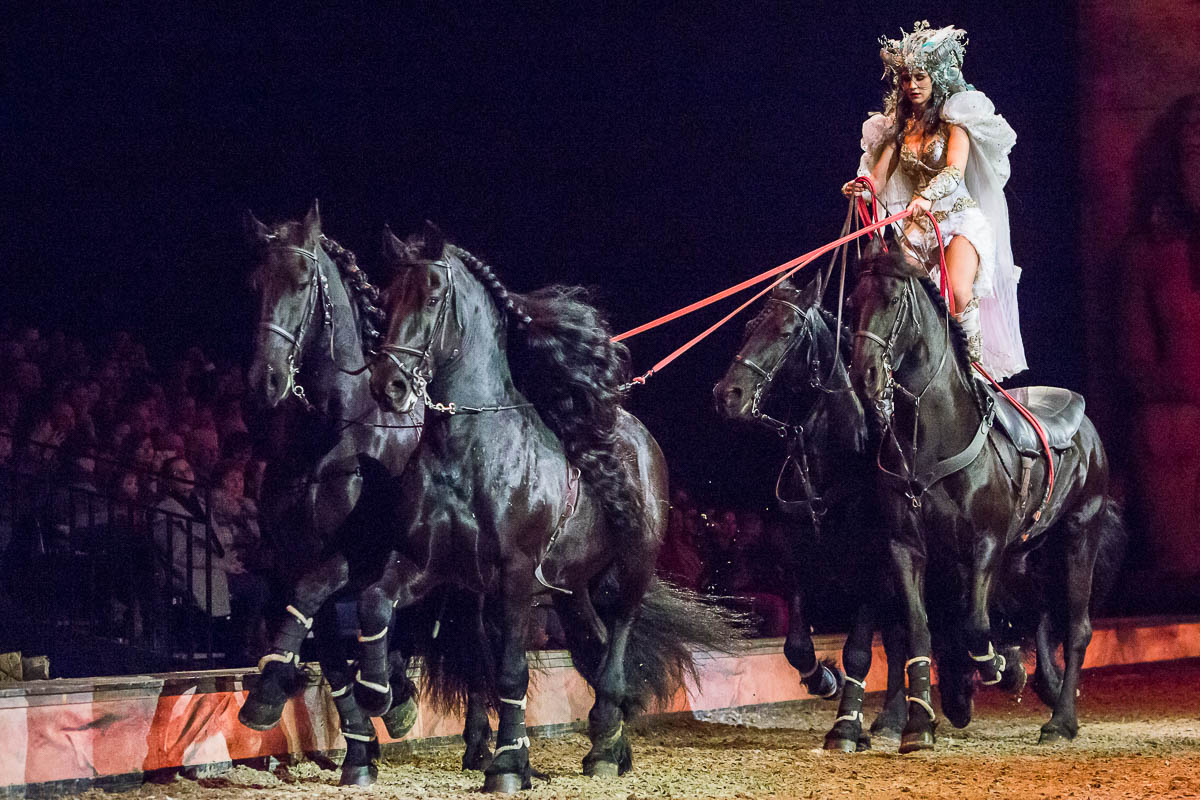 Cavalluna Legend of the desert @ Sportpaleis, picture 64, photographed by Marc Verdonck - FrontView Magazine