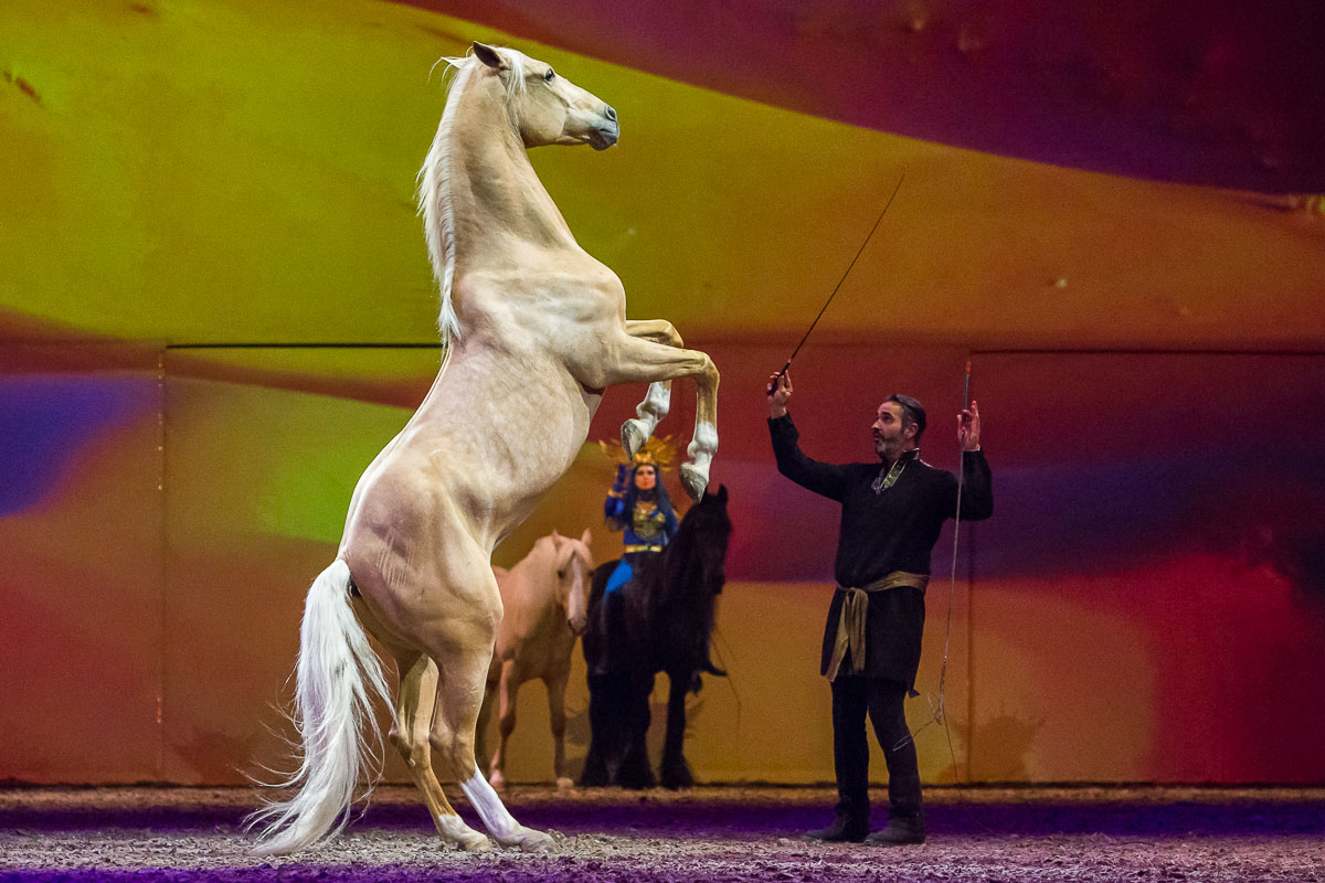 Cavalluna Legend of the desert @ Sportpaleis, picture 66, photographed by Marc Verdonck - FrontView Magazine