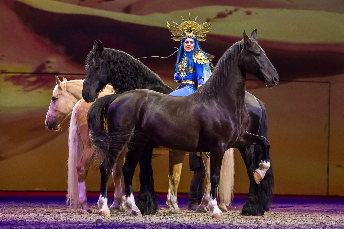 Cavalluna Legend of the desert @ Sportpaleis, picture 67, photographed by Marc Verdonck - FrontView Magazine